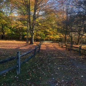 Meet your Posher, Monica